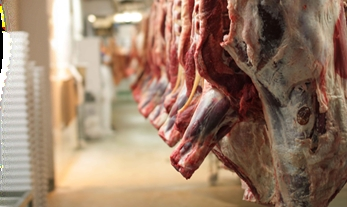 عرضه گوشت قرمز در کشتارگاه‌های رسمی کشور در اسفند ۱۴۰۲ به ۳۸٬۴۸۲ تن رسید