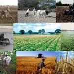 انتشار گزارش شاخص قیمت تولید کننده زراعت، باغداری و دامداری سنتی (تعدیل یافته) فصل زمستان 1396   