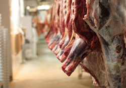 عرضه گوشت قرمز در کشتارگاه‌های رسمی کشور در اسفند ۱۴۰۲ به ۳۸٬۴۸۲ تن رسید