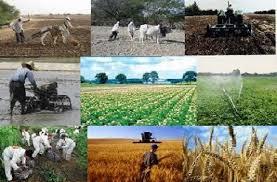 انتشار گزارش شاخص قیمت تولید کننده زراعت، باغداری و دامداری سنتی (تعدیل یافته) فصل زمستان 1396   